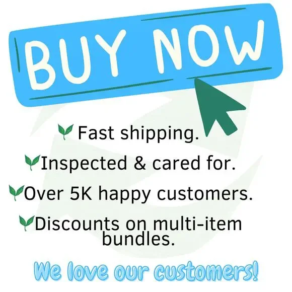 The North Face Primaloft Descendit Bright Cobalt Blue Hooded Jacket Men's Small - Picture 15 of 15